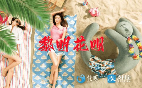 不求甚解花呗